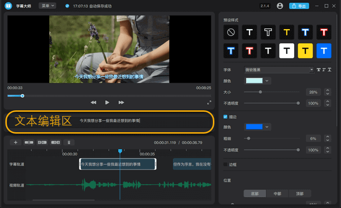 edit subtitles